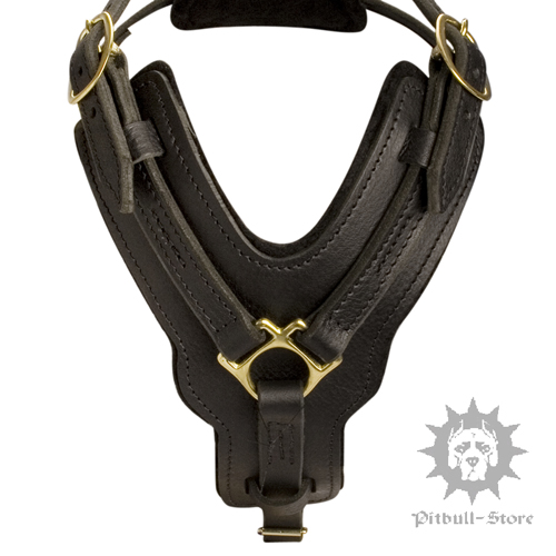 Padded Dog Harness