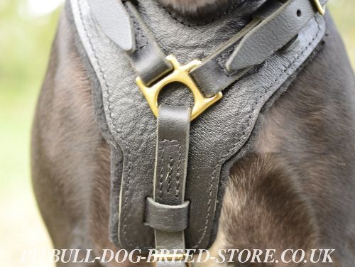 Strong Leather Dog Harness