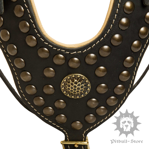 Studded Dog Harness