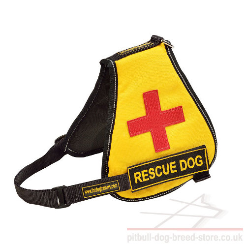 Service Dog Vest for Pitbull