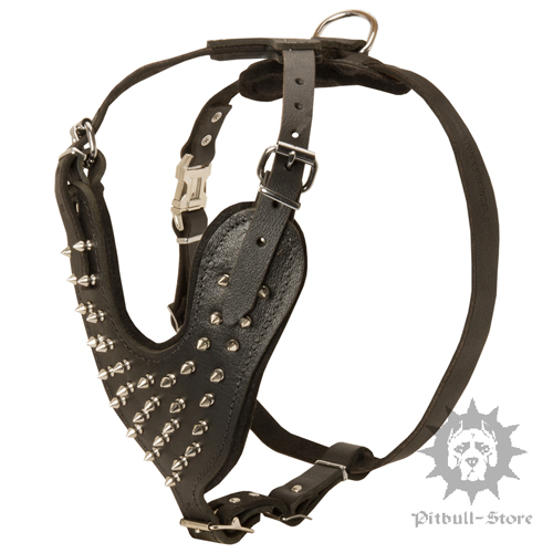 Spiked Dog Harness