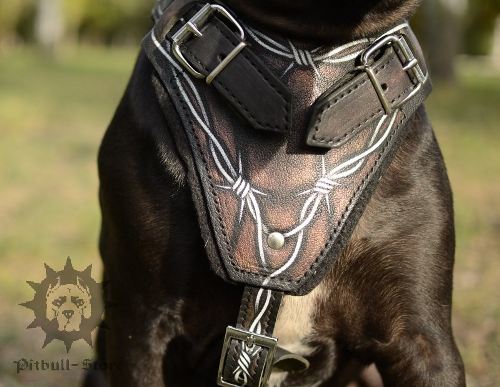 Leather Pitbull Harness