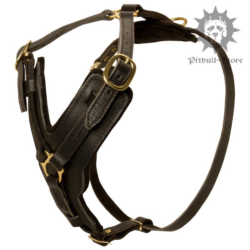 Padded Leather Dog Harness for Agitation Training