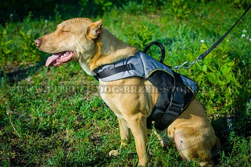 Vest Harness