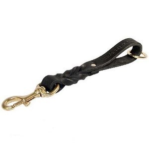 Dog Leash for a Pitbull