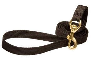 Dog Leash for Pitbull