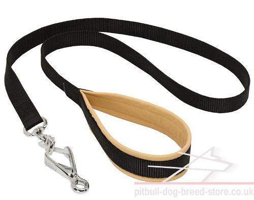 Nylon Dog Leash for Staffy