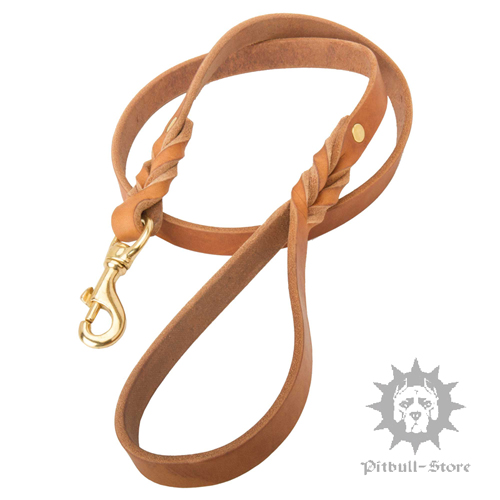 Braided Leather Dog Lead