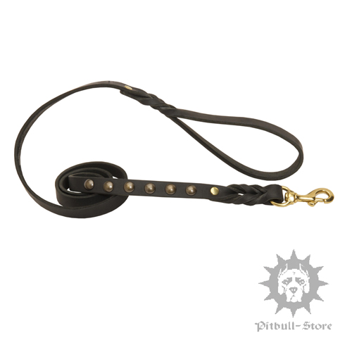 Braided Leather Dog Lead