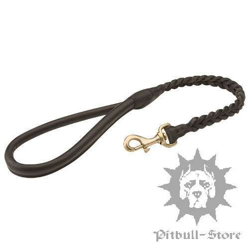 Designer Dog Lead