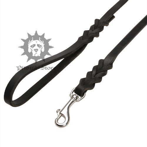 Designer Dog Leads