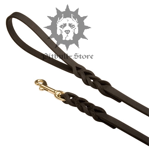 Leather Dog Lead for Staffy