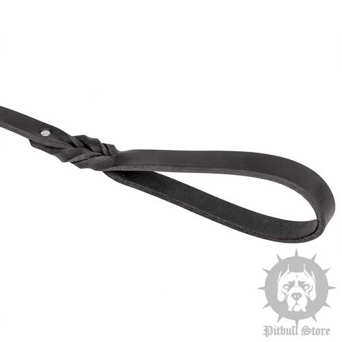 Leather Dog Lead