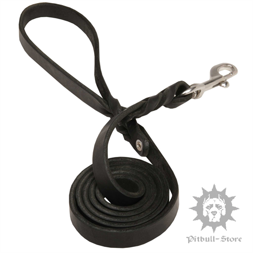 Leather Dog Lead