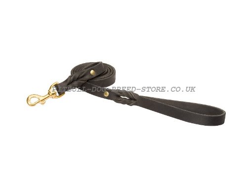 Leather Dog Leash UK