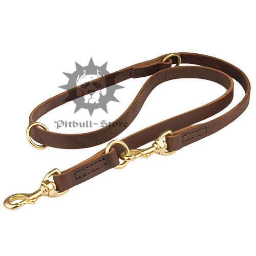 Brown Leather Dog Lead