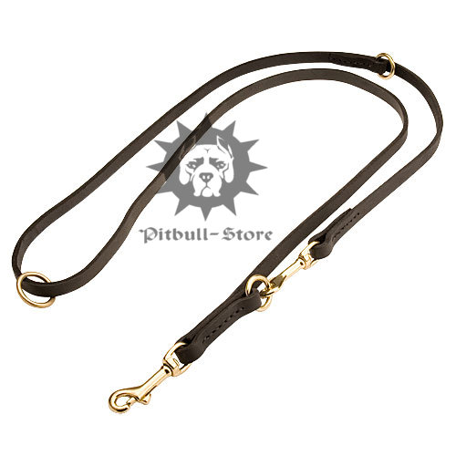 Multi Function Dog Lead