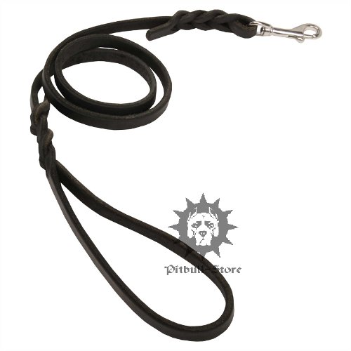 Pitbull Dog Leash