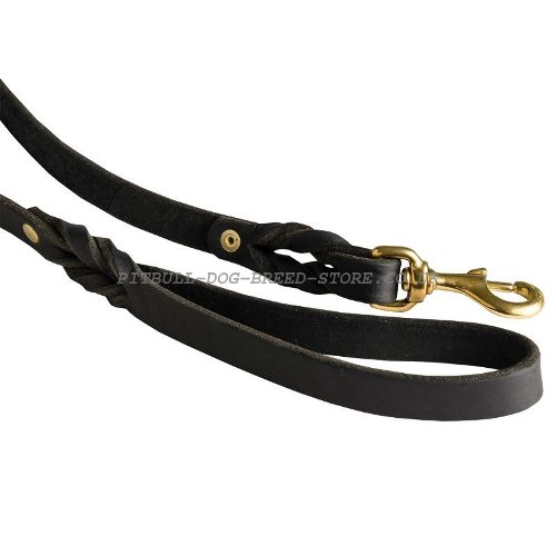 Leather Dog Leashes UK