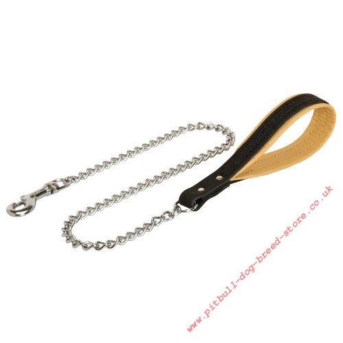 Chain Leash