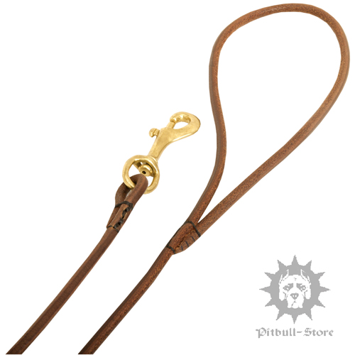 Round Leather Dog Leash