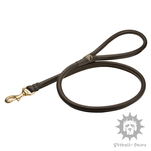 Round Leather Dog Leash