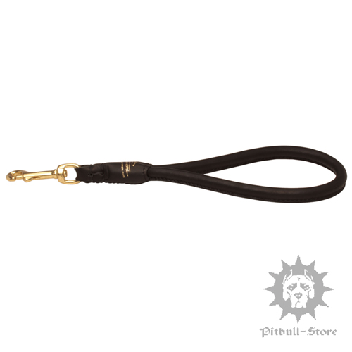 Round Leather Dog Leash