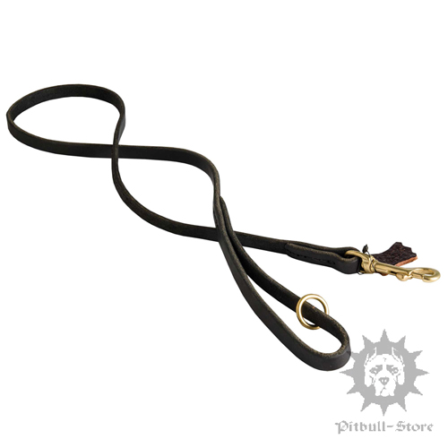 Leather Dog Lead