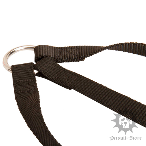 Triple Dog Lead UK