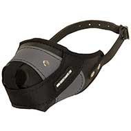 Dog Muzzle of Leather & Nylon for Pitbull Training and Walking