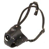 Dog Muzzle for Staffy, Anti-Bark and Stop Biting Model