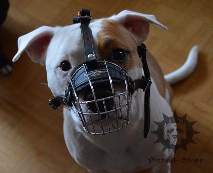 Basket Dog Muzzles UK