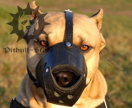Leather Dog Muzzle UK