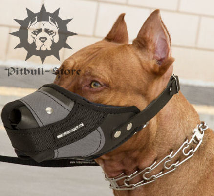 soft muzzle for staffy