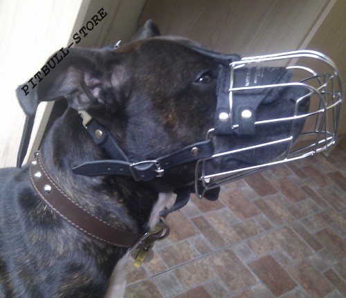 Staffy Muzzle UK