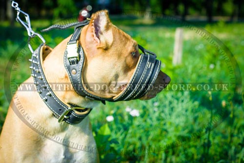 Anti-barking Dog Muzzle