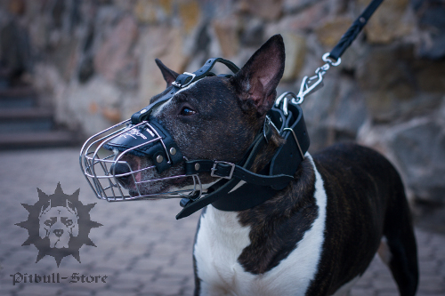 Basket Dog Muzzle