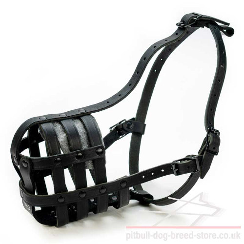 Pitbull Muzzle UK