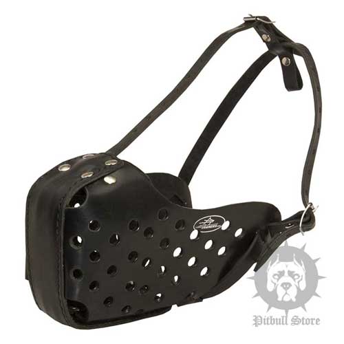 Leather Dog Muzzle