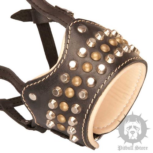 Studded Dog Muzzle