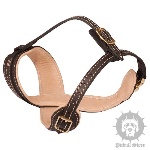 Leather Dog Muzzles UK