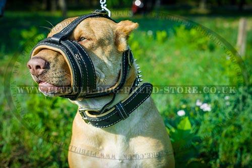 Leather Dog Muzzle