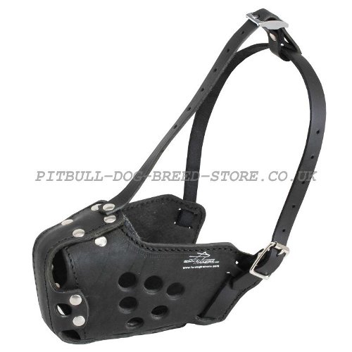 Working Dog Muzzle