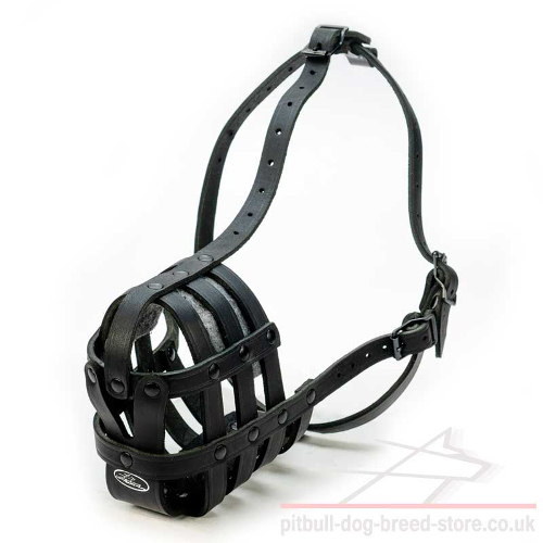 Cane Corso Leather Muzzle