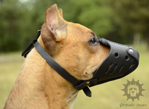 Leather Dog Muzzle