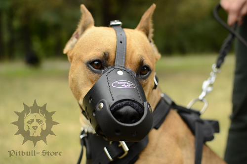 Leather Dog Muzzle