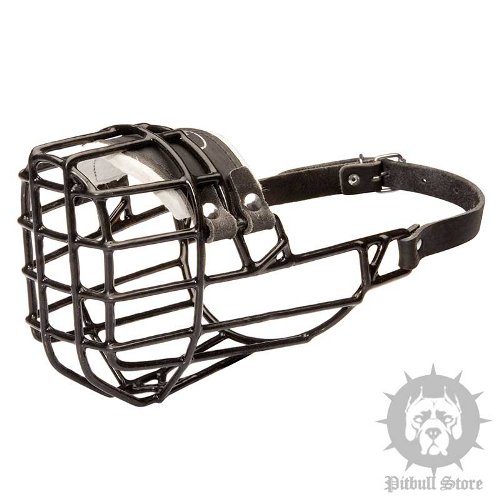 Pitbull Muzzle UK