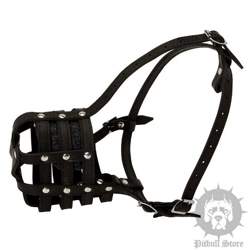 Dog Muzzle UK