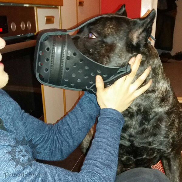 Dog Training Muzzle