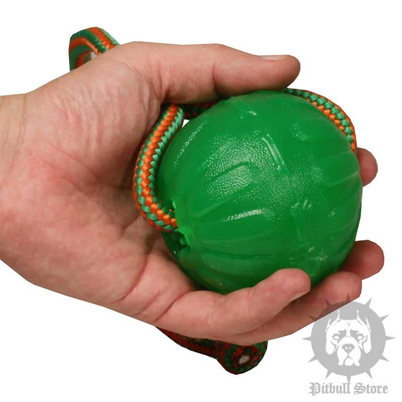 Best Indestructible Dog Toys Uk Best Indestructible Dog Toys Uk